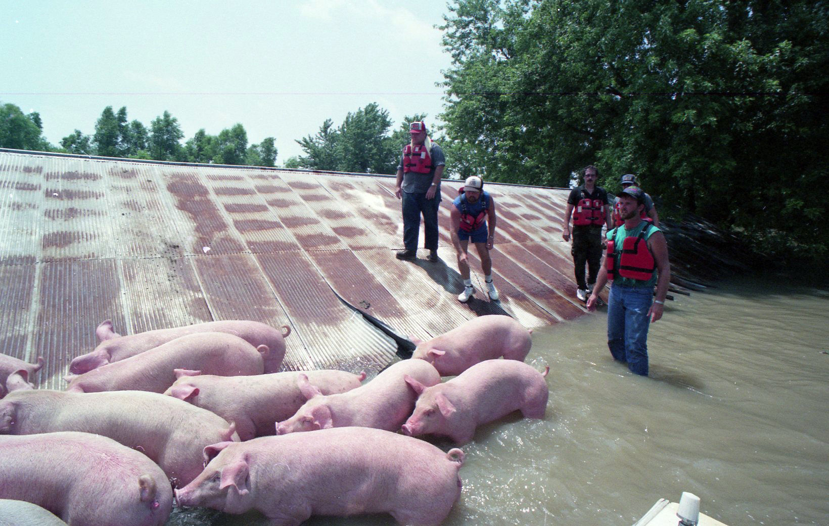 Flood of '93
